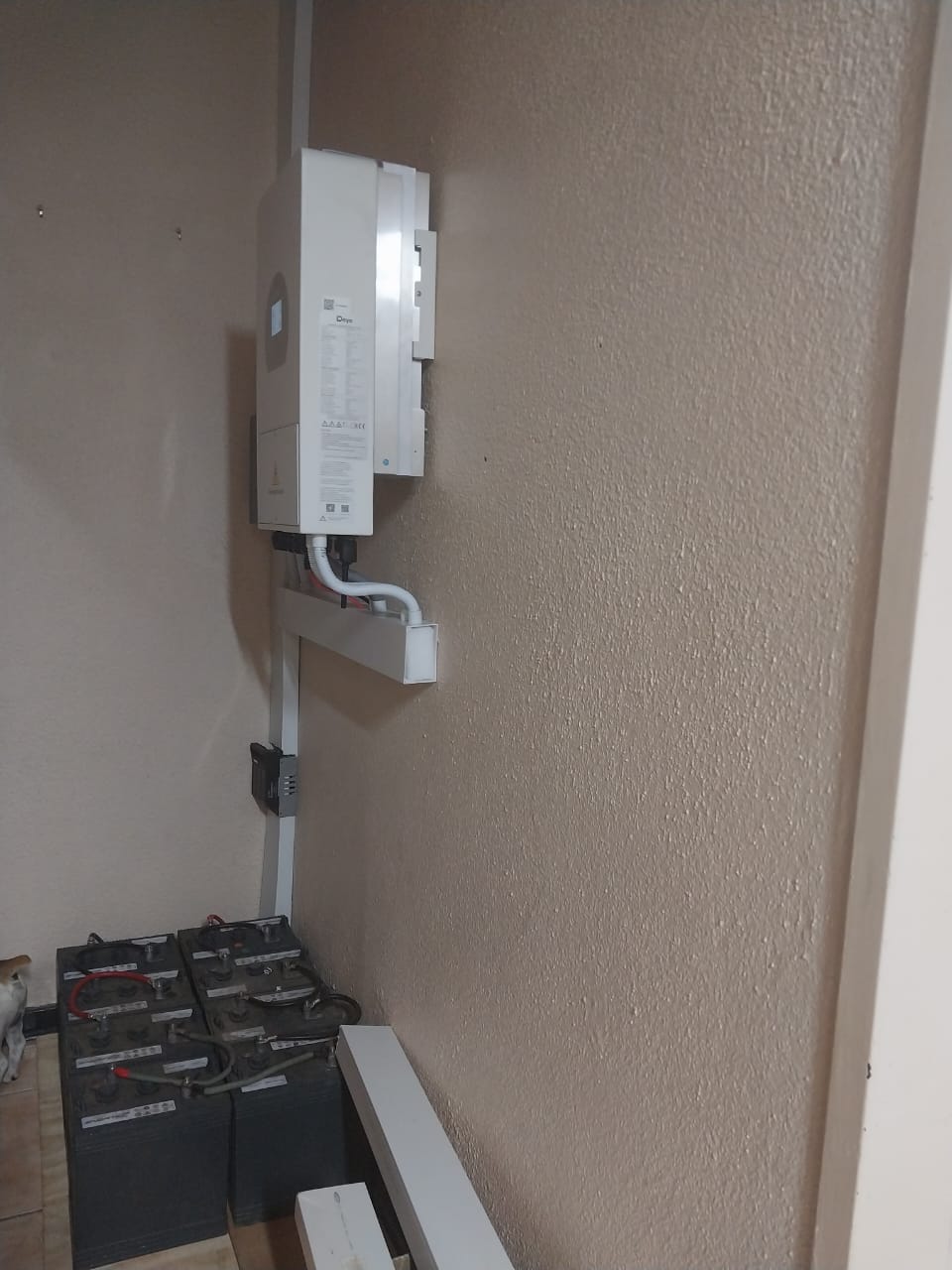 WhatsApp Image 2023-03-06 at 14.46.15